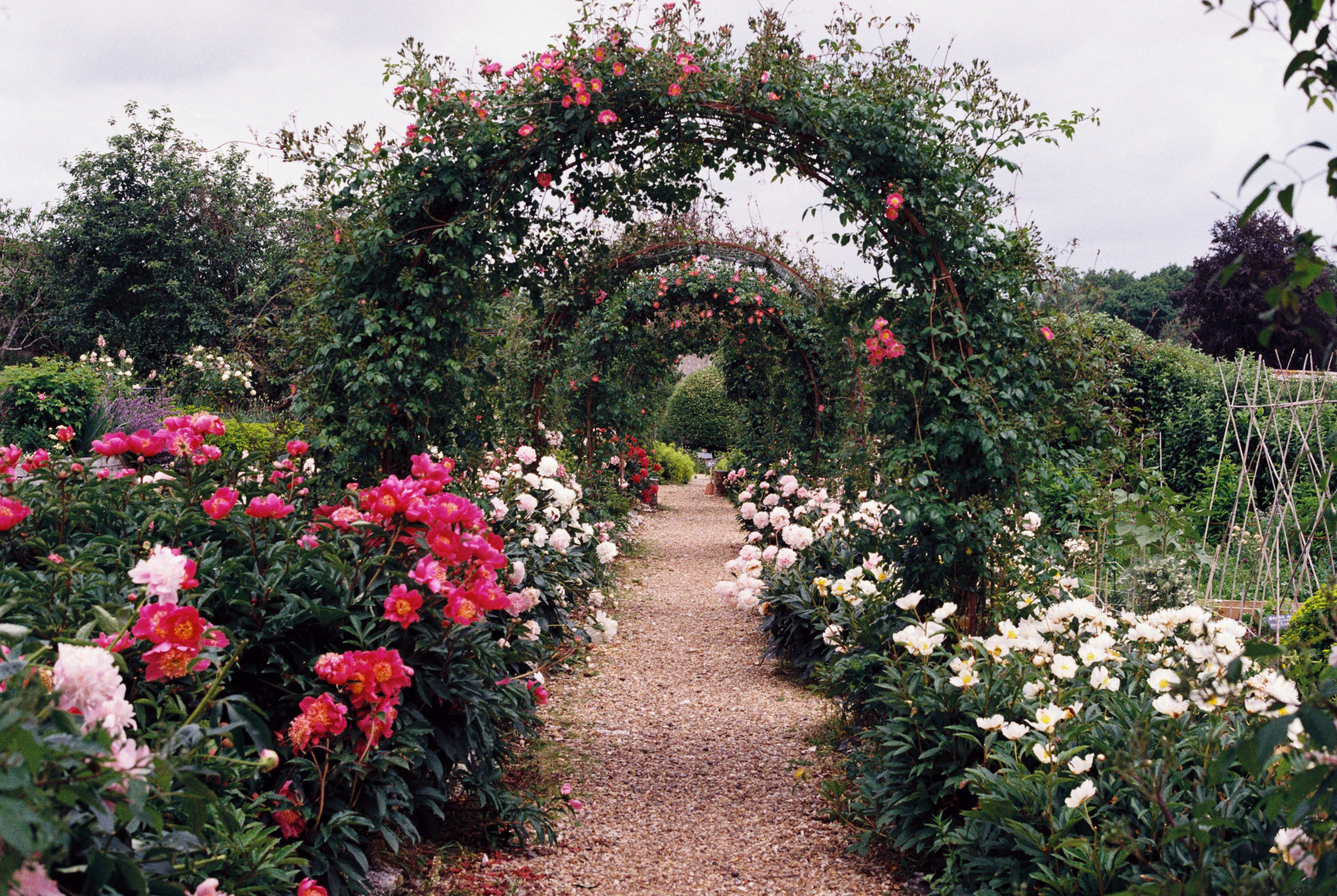 Garden arch of flowers