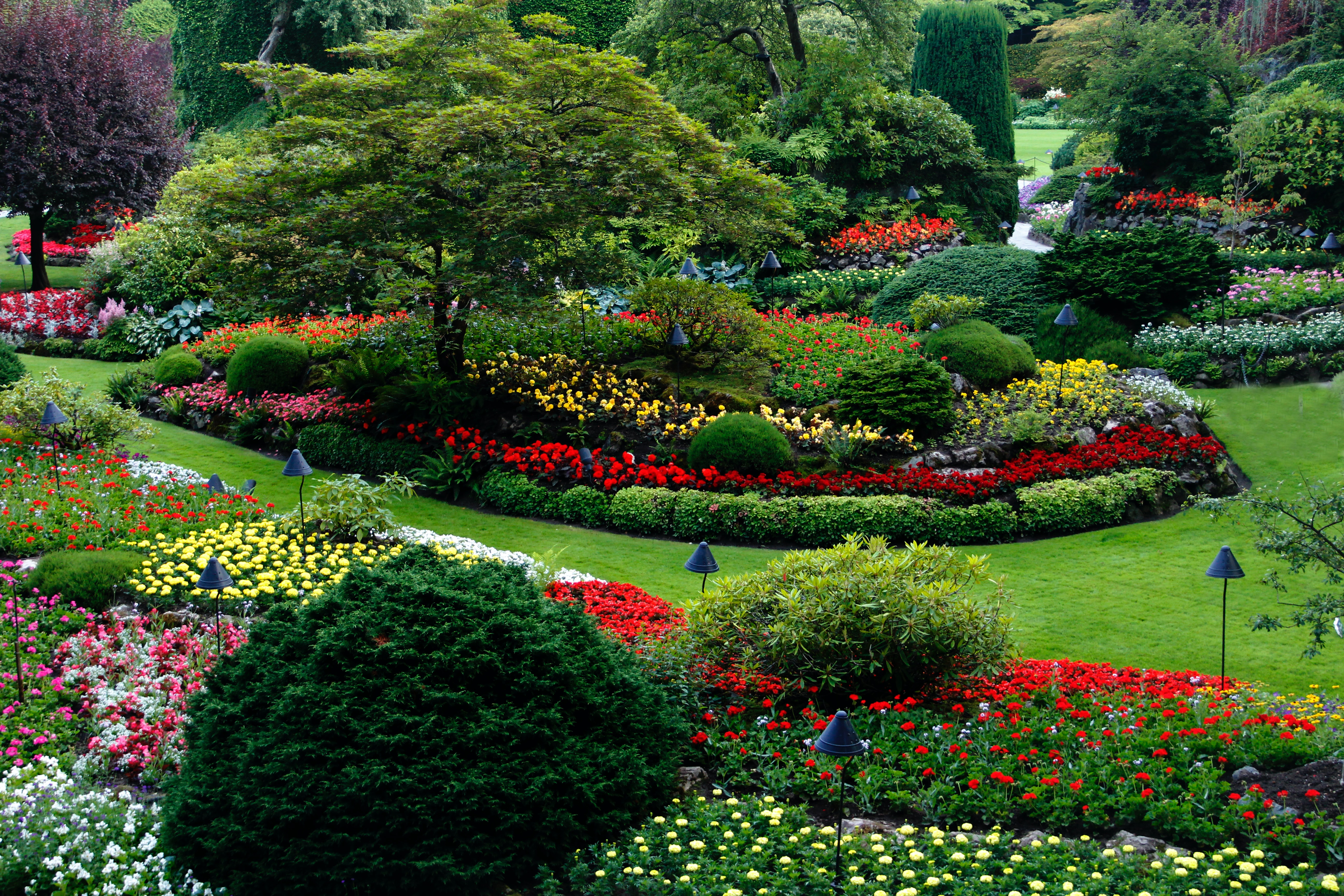 Garden landscape