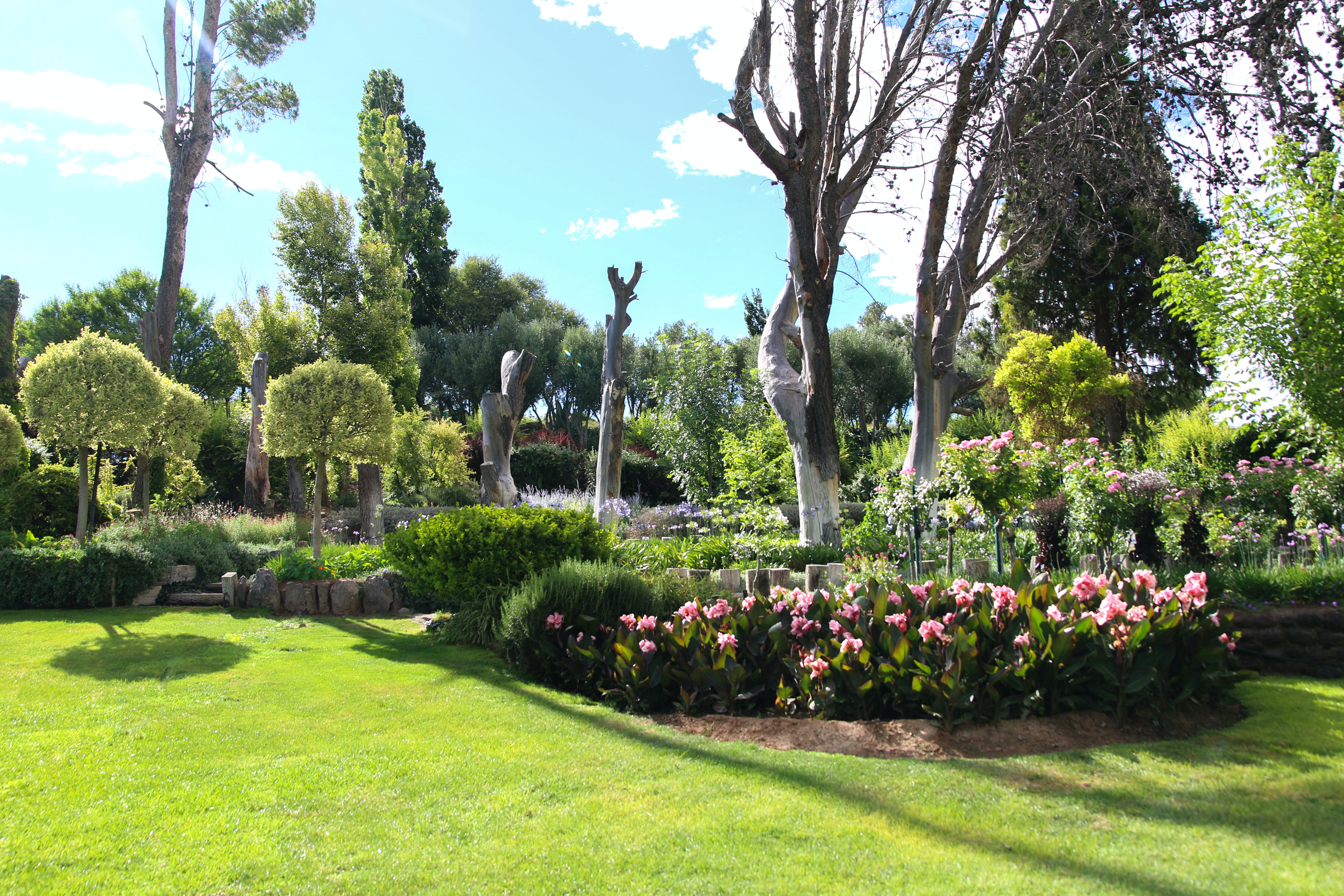 Garden landscape